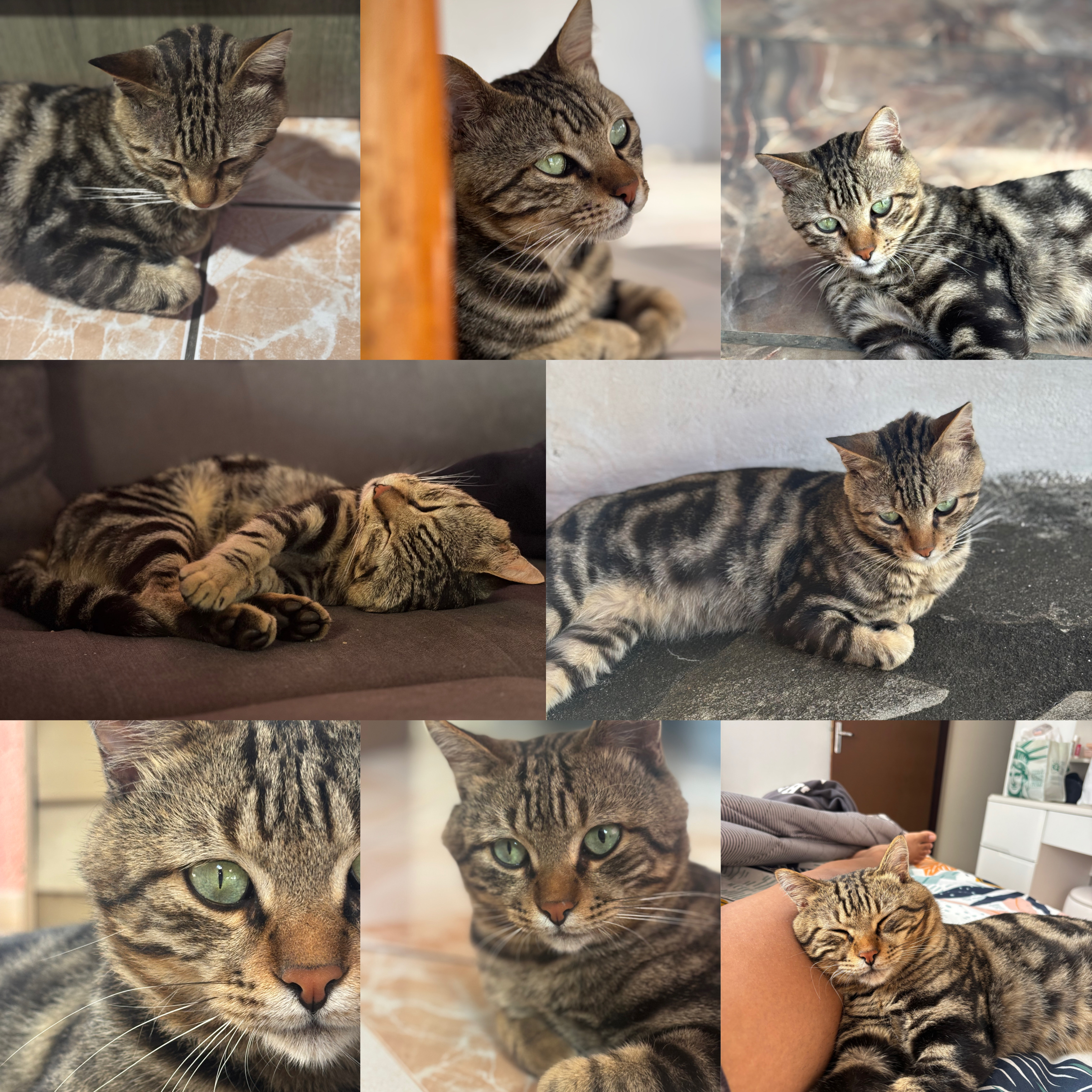 Mimi
